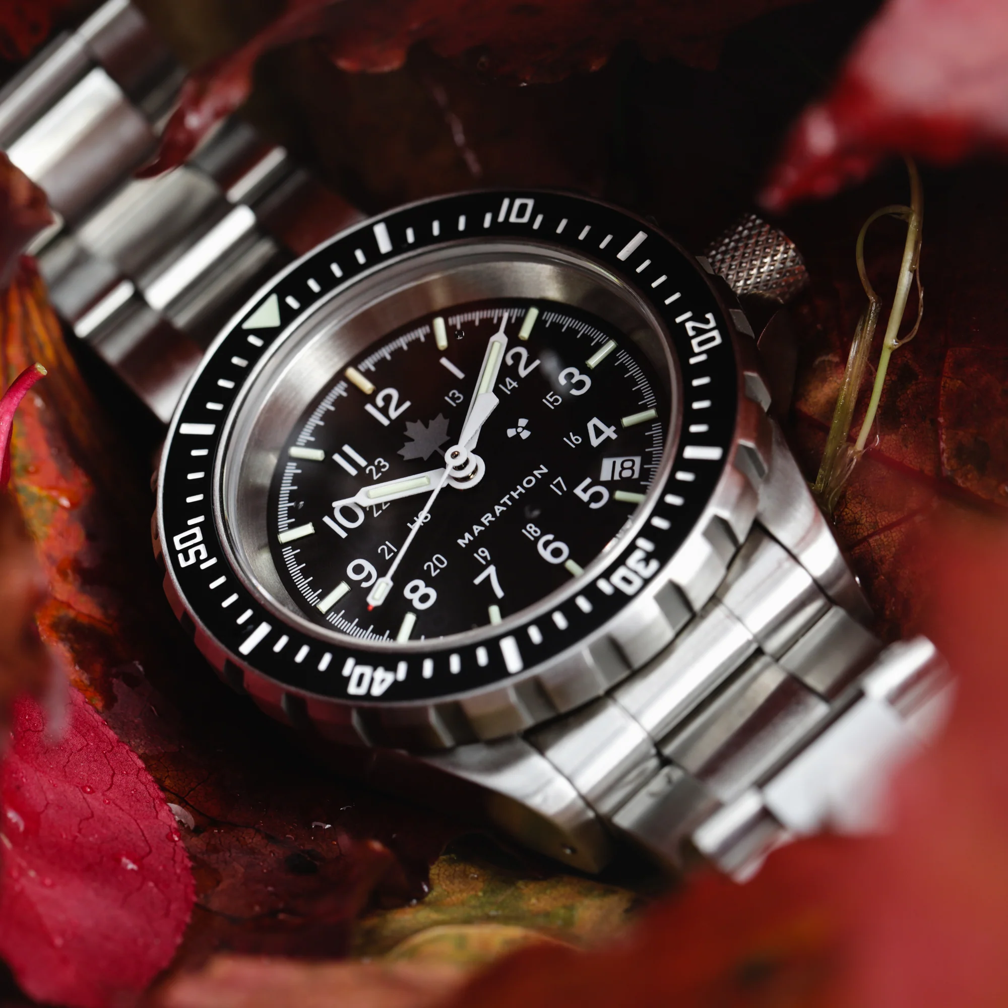 41mm Grey Maple Large Diver's Automatic (GSAR) with Stainless Steel Bracelet - Image 7